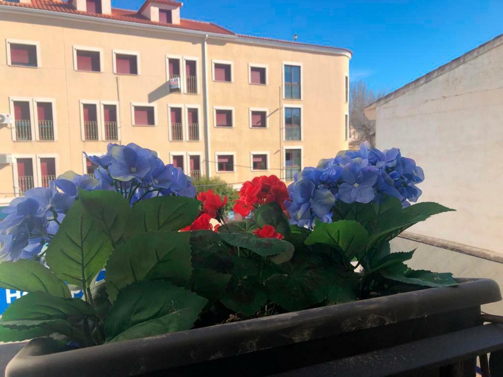 Home Sancle Сан Клементе Екстериор снимка